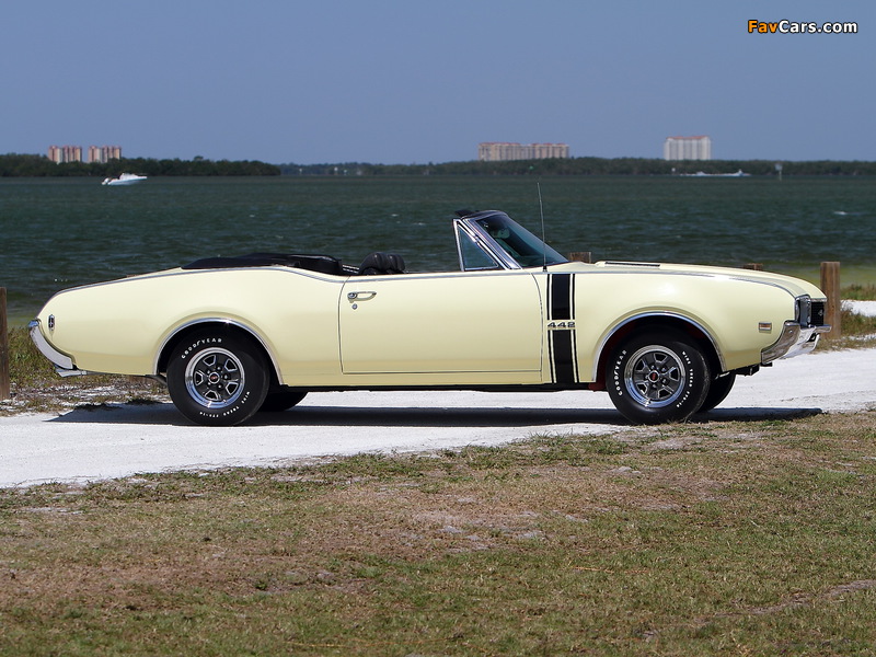 Oldsmobile 442 Convertible (4467) 1968 wallpapers (800 x 600)