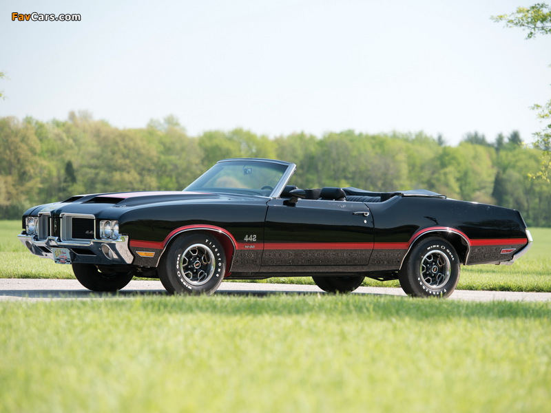 Oldsmobile 442 W-30 Convertible (4467) 1971 wallpapers (800 x 600)
