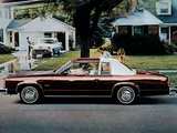 Pictures of Oldsmobile Delta 88 Royale Coupe (N37) 1978