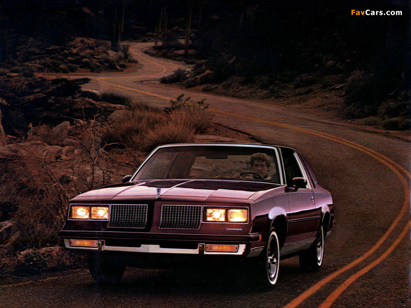 Oldsmobile Cutlass Calais 1983 wallpapers (800 x 600)