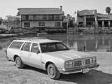 Oldsmobile Custom Cruiser 1978 photos