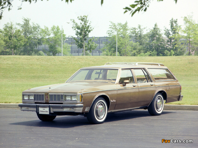 Oldsmobile Custom Cruiser 1980–81 wallpapers (640 x 480)