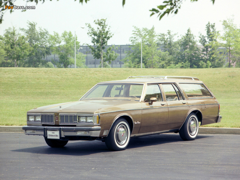 Oldsmobile Custom Cruiser 1980–81 wallpapers (800 x 600)