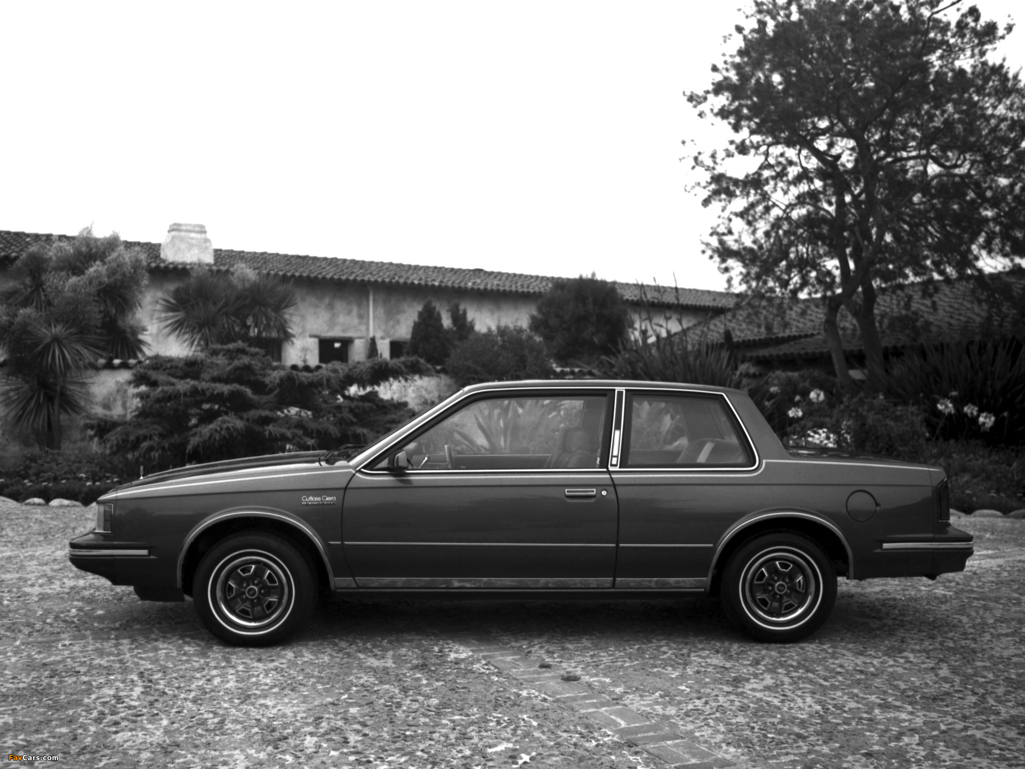 Oldsmobile Cutlass Ciera LS Coupe (J27) 1983 photos (2048 x 1536)