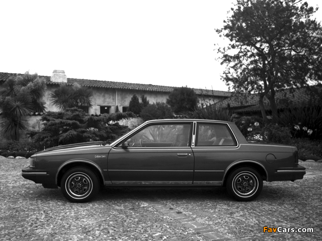 Oldsmobile Cutlass Ciera LS Coupe (J27) 1983 photos (640 x 480)