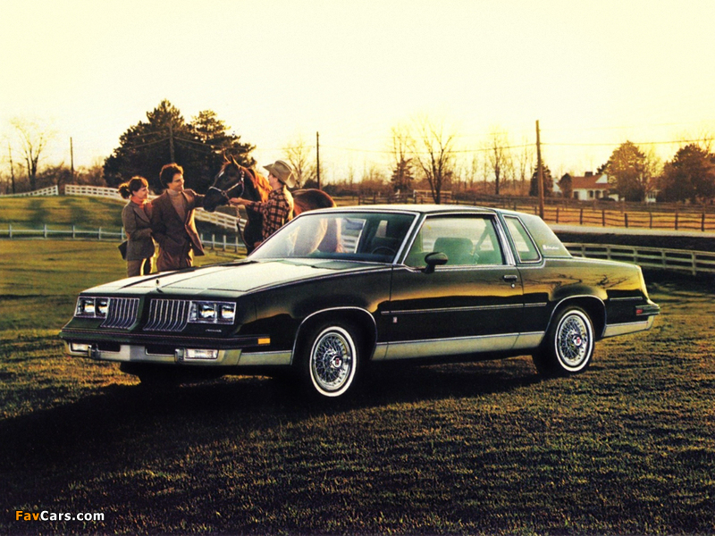 Oldsmobile Cutlass Supreme Brougham Coupe (M47) 1984 images (800 x 600)