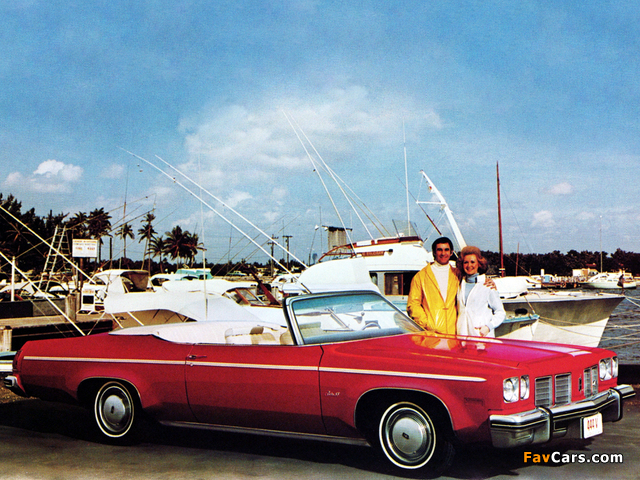 Oldsmobile Delta 88 Royale Convertible (N67) 1975 pictures (640 x 480)