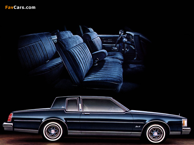 Oldsmobile Delta 88 Royale Coupe 1980–84 pictures (640 x 480)