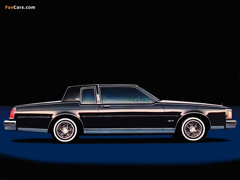 Pictures of Oldsmobile Delta 88 Royale Coupe 1980–84 (800 x 600)