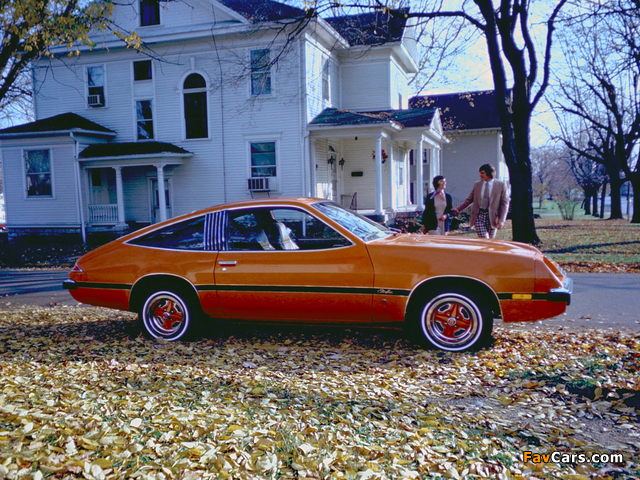 Oldsmobile Starfire 1975–80 photos (640 x 480)