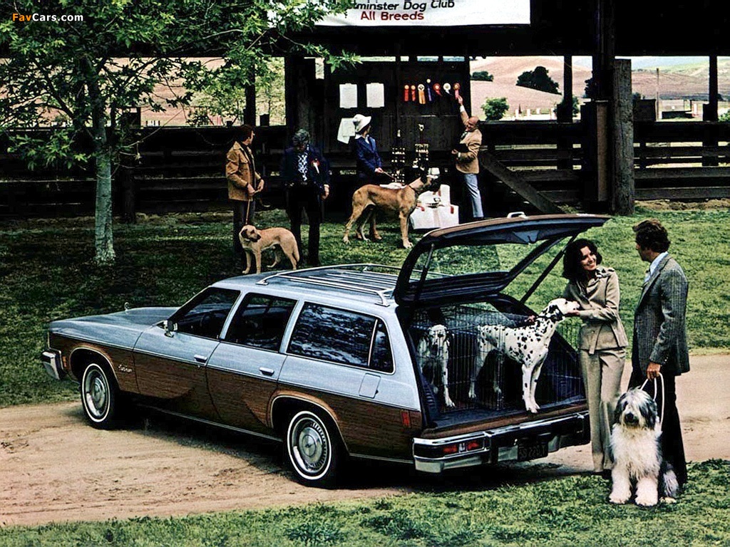 Photos of Oldsmobile Vista Cruiser 1977 (1024 x 768)