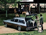 Photos of Oldsmobile Vista Cruiser 1977