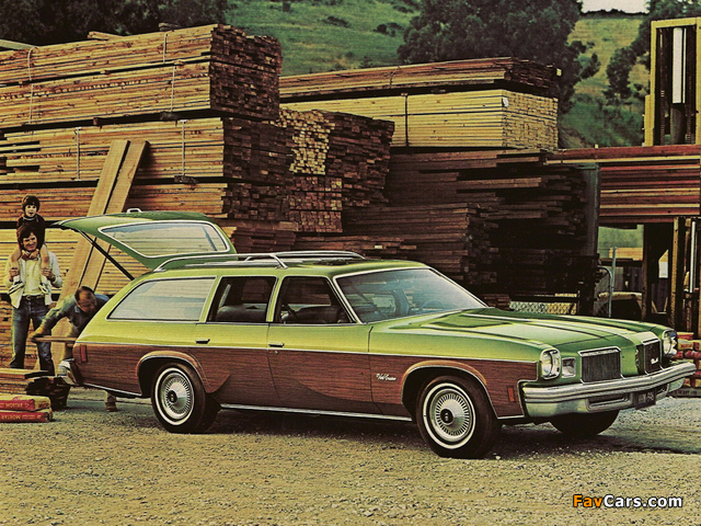 Pictures of Oldsmobile Vista Cruiser 1974 (640 x 480)