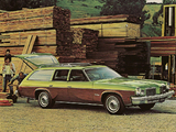 Pictures of Oldsmobile Vista Cruiser 1974