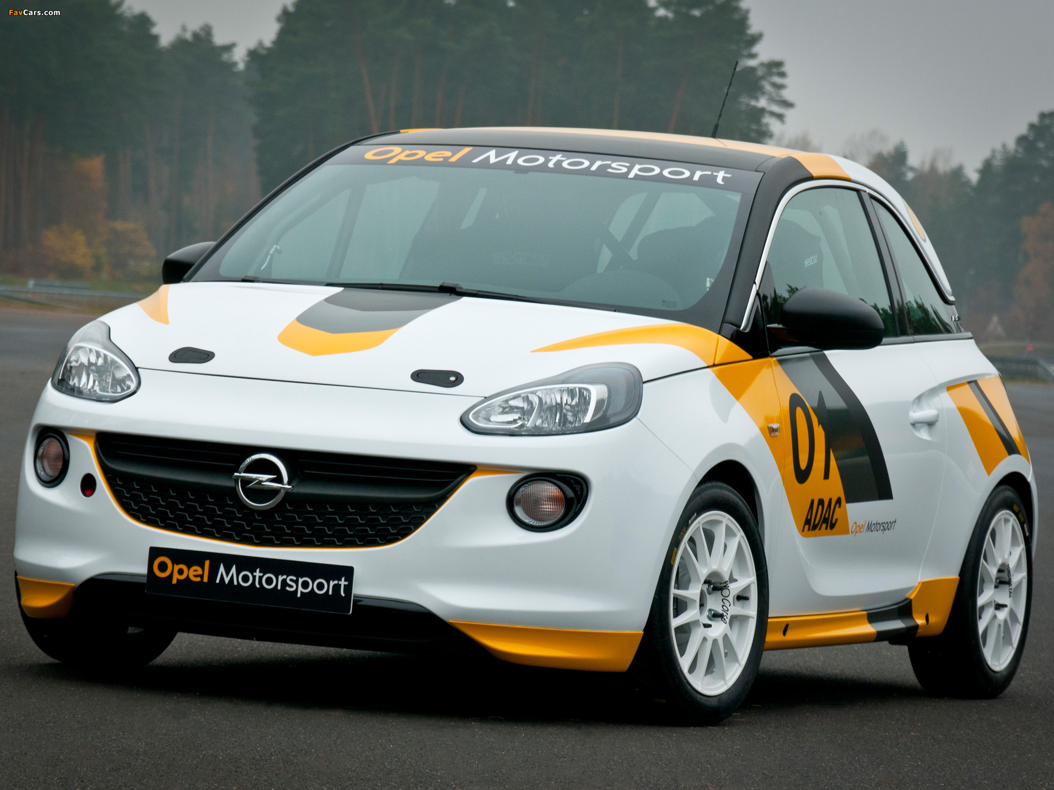 Opel Adam R2 Cup 2013 images (2048 x 1536)