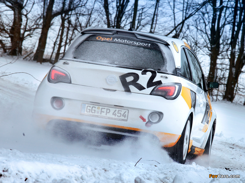 Opel Adam R2 Cup 2013 wallpapers (800 x 600)