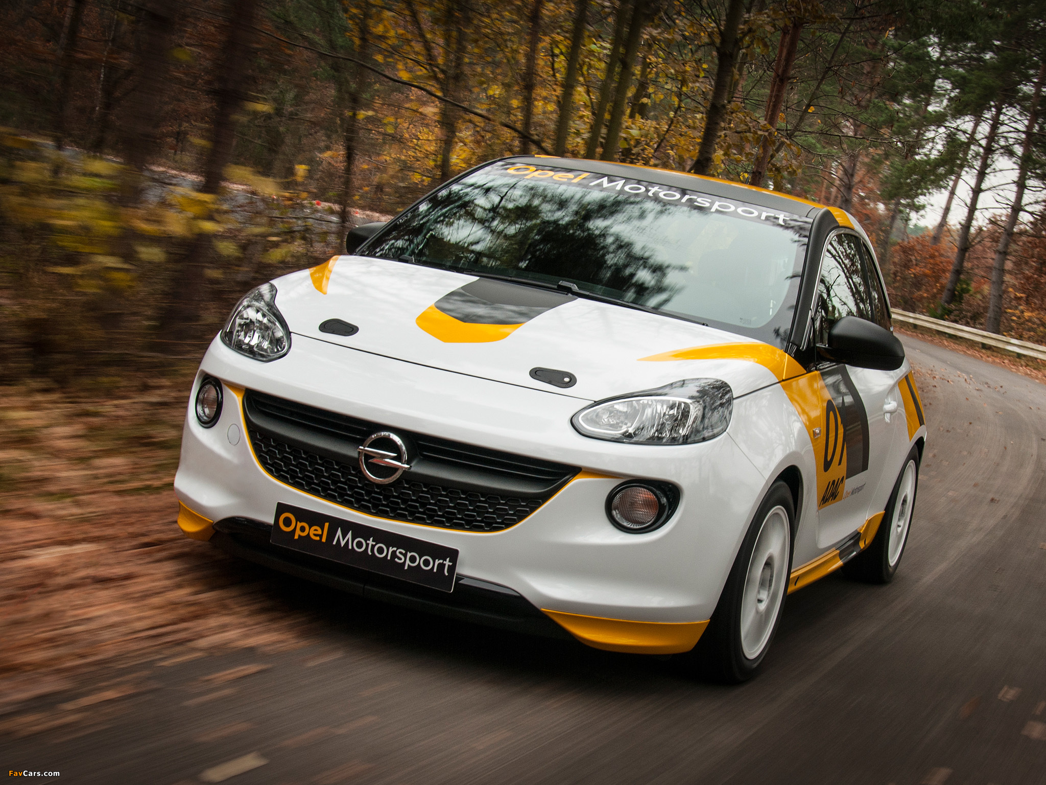 Opel Adam R2 Cup 2013 wallpapers (2048 x 1536)