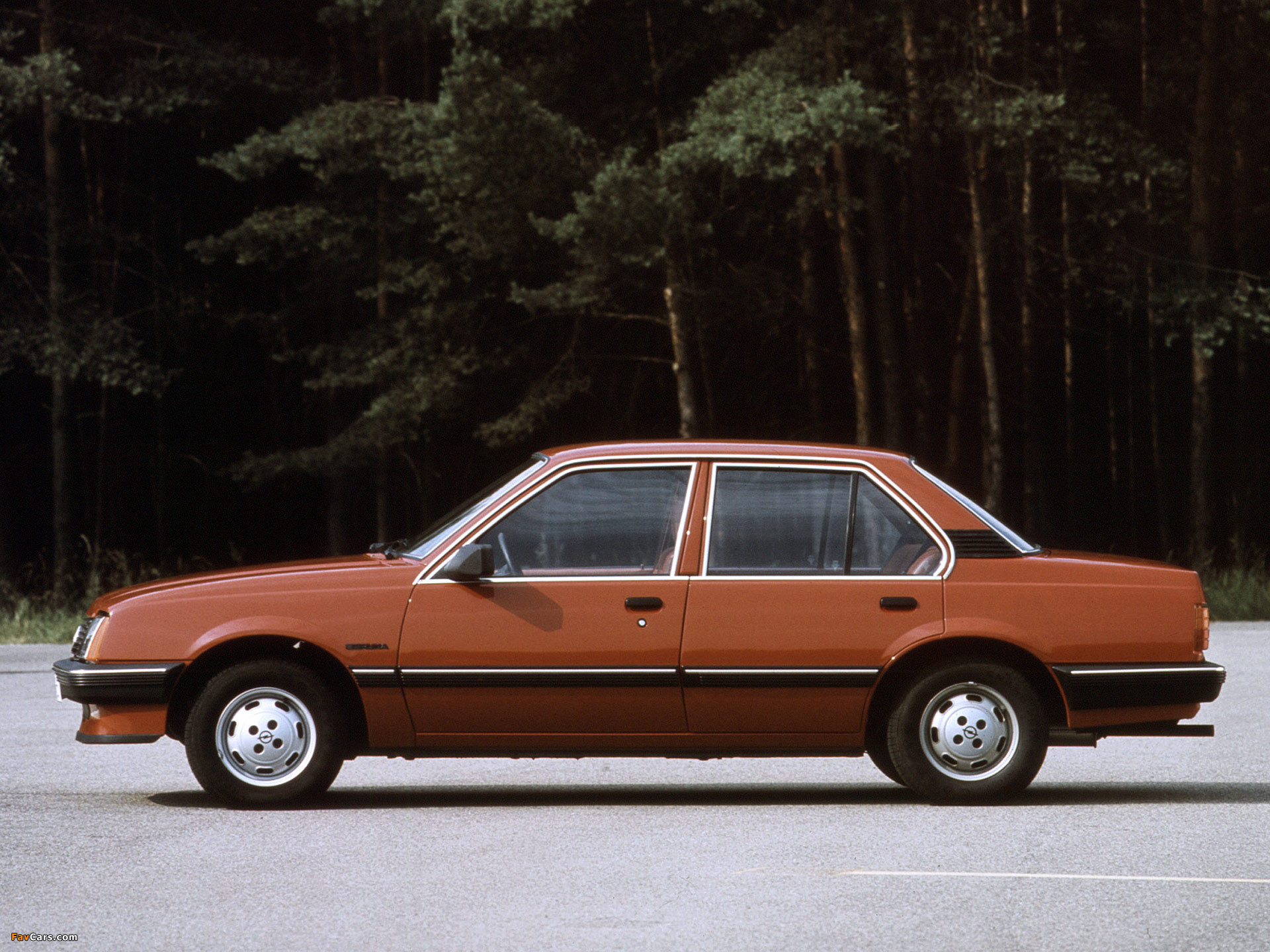 Images of Opel Ascona (C1) 1981–84 (1920 x 1440)
