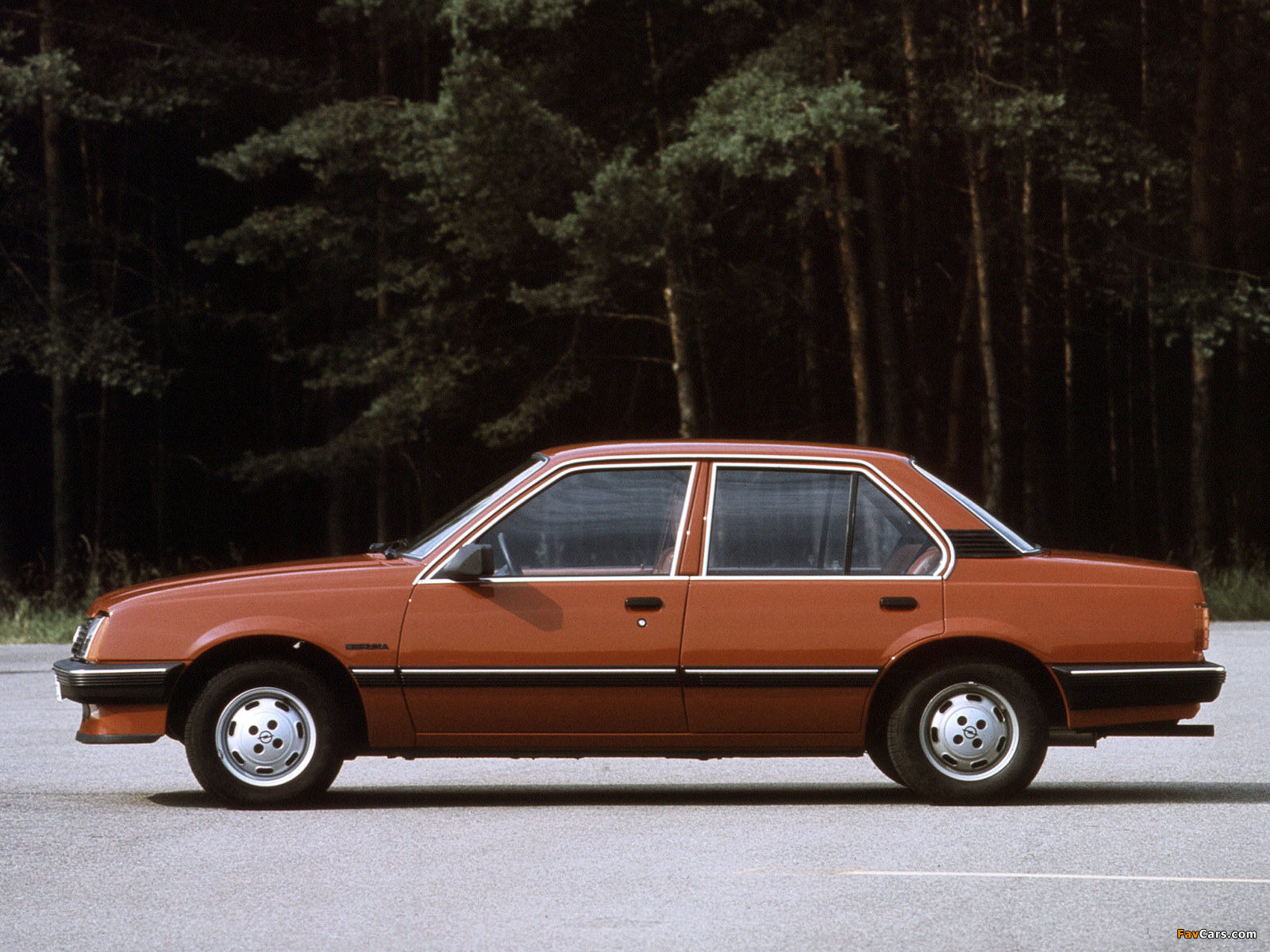 Images of Opel Ascona (C1) 1981–84 (1600 x 1200)