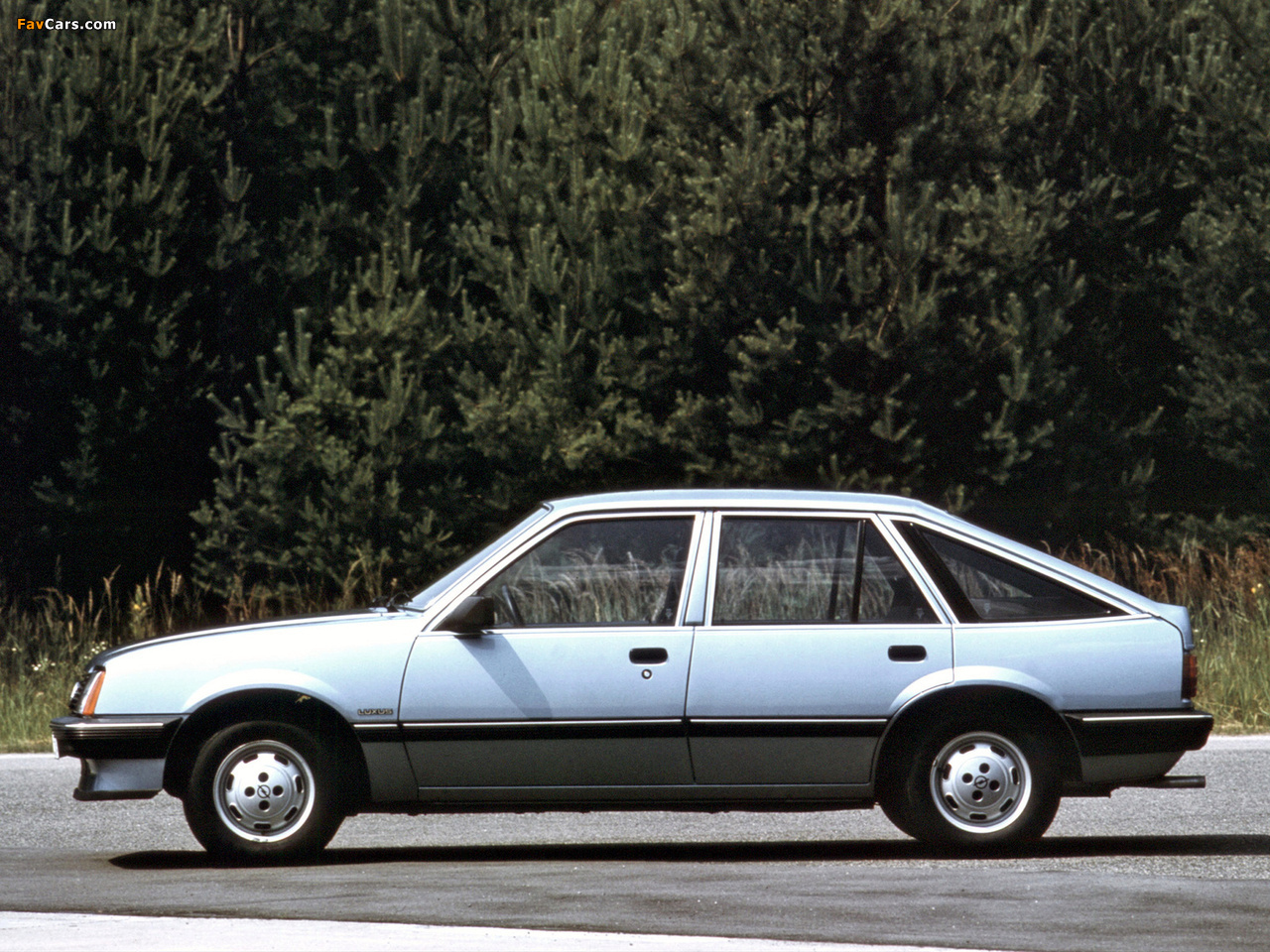 Images of Opel Ascona CC (C1) 1981–84 (1280 x 960)
