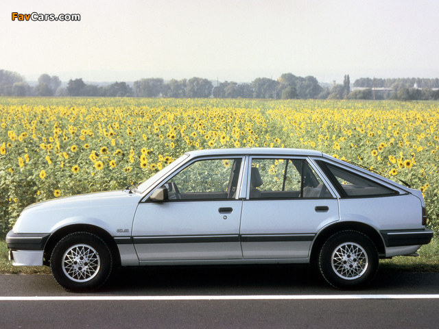 Opel Ascona CC (C3) 1986–88 wallpapers (640 x 480)