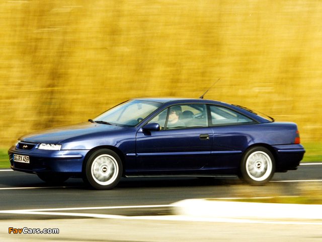 Images of Opel Calibra Last Edition 1997 (640 x 480)