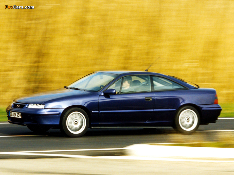 Images of Opel Calibra Last Edition 1997 (800 x 600)