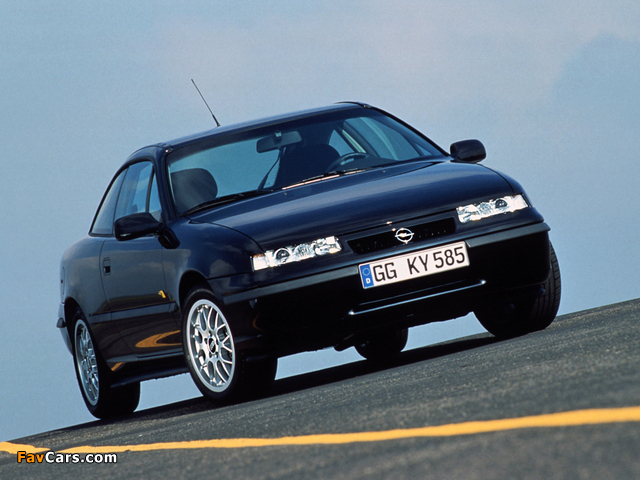 Opel Calibra DTM Edition 1995–96 photos (640 x 480)
