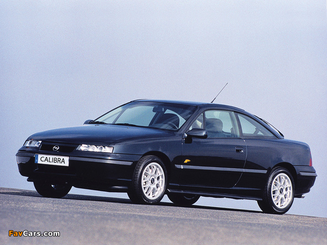 Opel Calibra DTM Edition 1995–96 pictures (640 x 480)