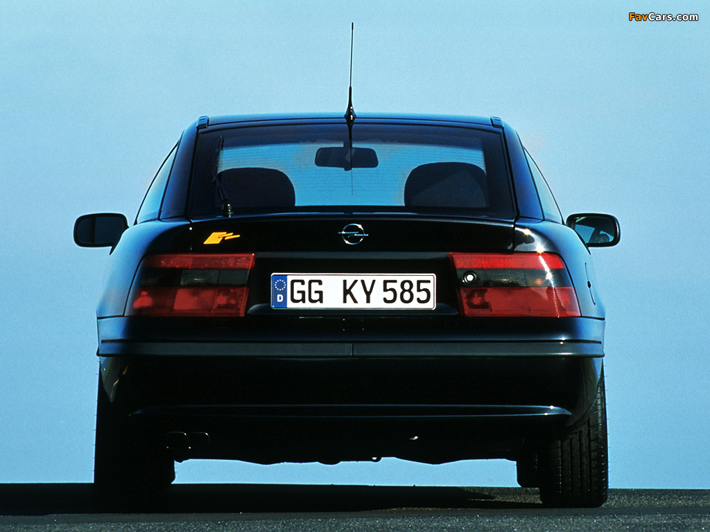 Opel Calibra DTM Edition 1995–96 wallpapers (1024 x 768)