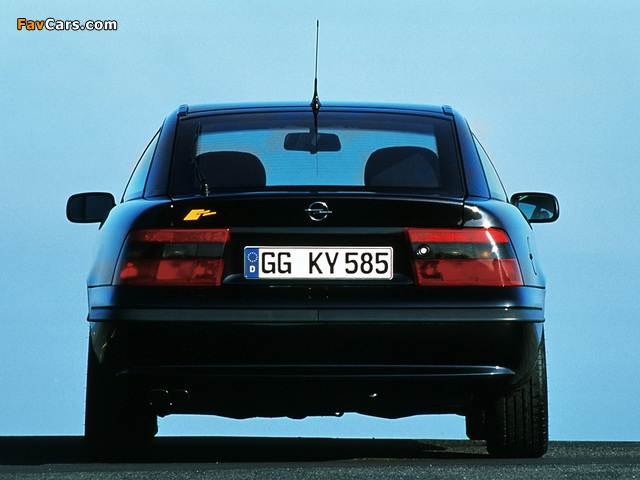 Opel Calibra DTM Edition 1995–96 wallpapers (640 x 480)