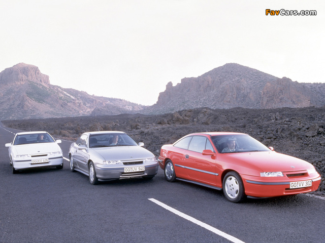 Photos of Opel Calibra (640 x 480)