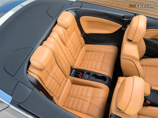 Photos of Opel Cascada 2013 (640 x 480)