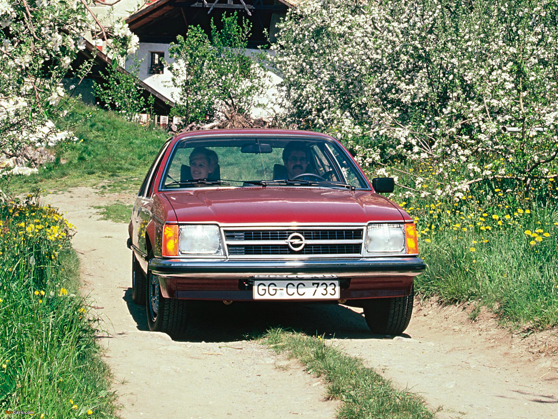 Opel Commodore (C) 1978–82 images (1920 x 1440)
