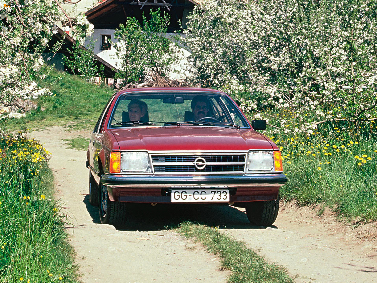 Opel Commodore (C) 1978–82 images (1600 x 1200)