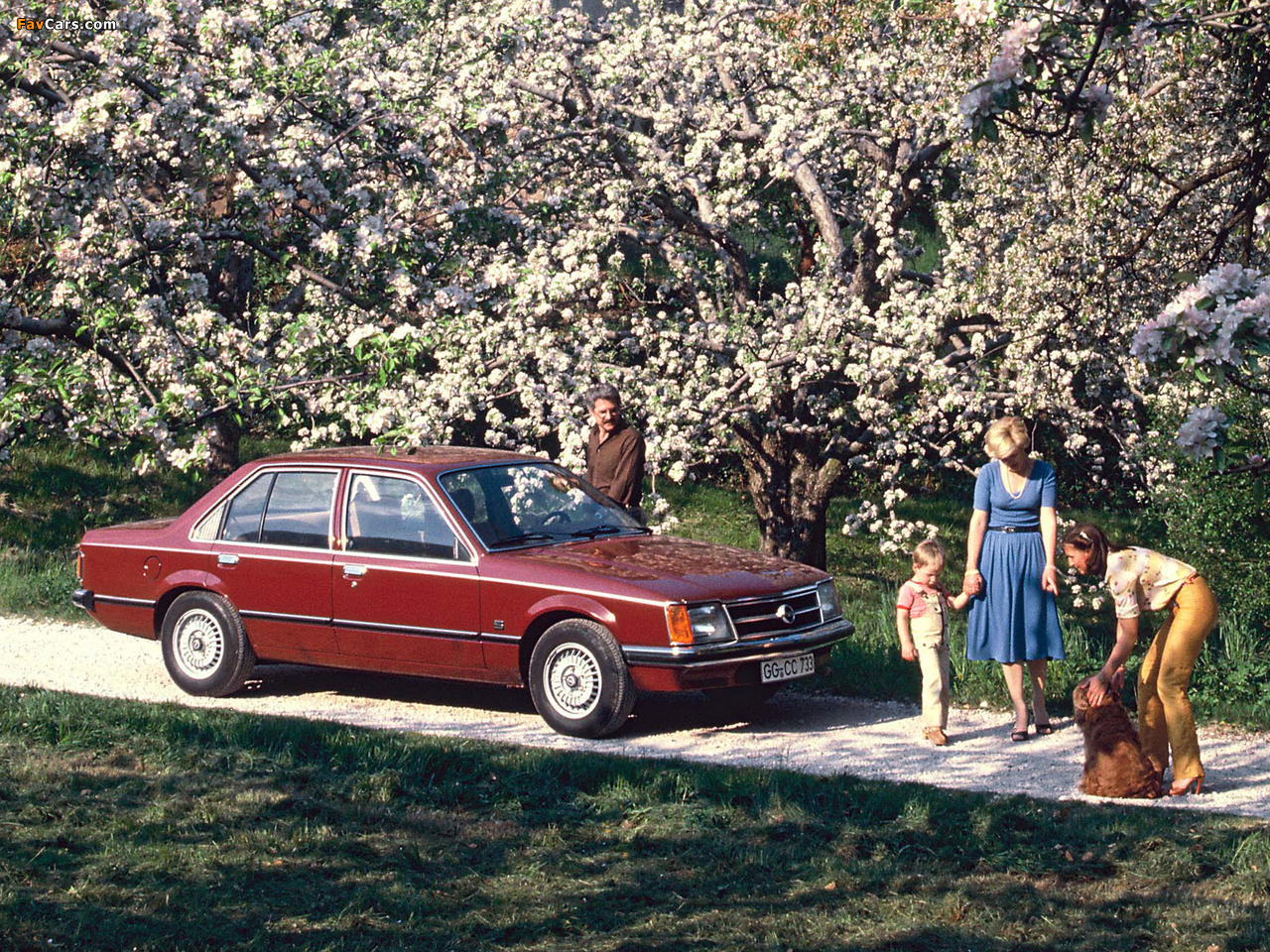 Photos of Opel Commodore (C) 1978–82 (1280 x 960)