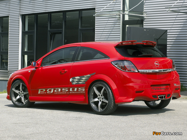 Steinmetz Opel Astra P.Gasus (H) 2006 wallpapers (640 x 480)