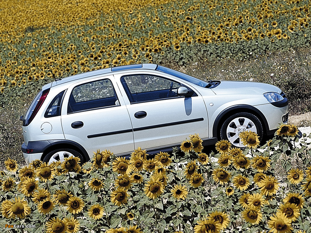 Opel Corsa 5-door (C) 2000–03 pictures (1024 x 768)