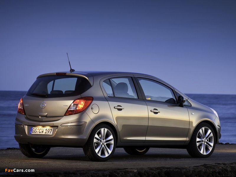 Opel Corsa 5-door (D) 2010 wallpapers (800 x 600)
