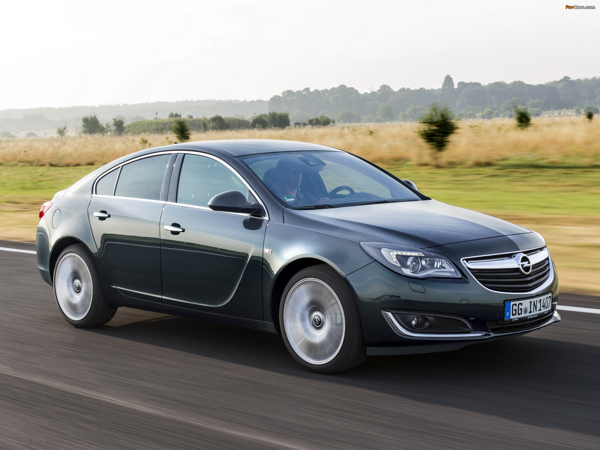 Opel Insignia Hatchback 2013 pictures (2048 x 1536)
