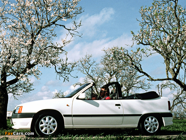Opel Kadett Cabrio (E) 1986–89 wallpapers (640 x 480)