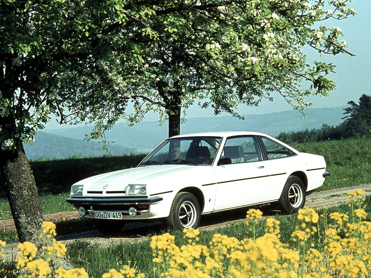 Images of Opel Manta (B) 1975–88 (1280 x 960)