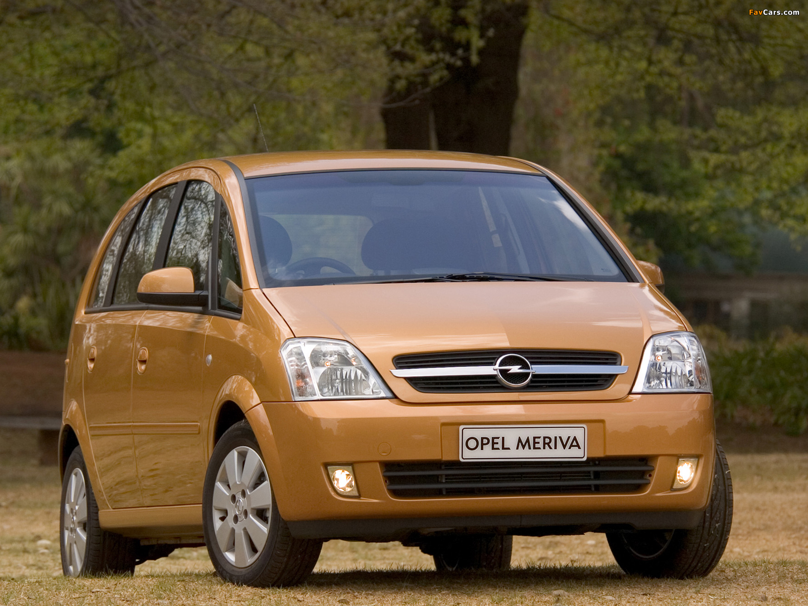 Opel Meriva ZA-spec (A) 2003–06 photos (1600 x 1200)