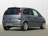 Steinmetz Opel Meriva (A) images