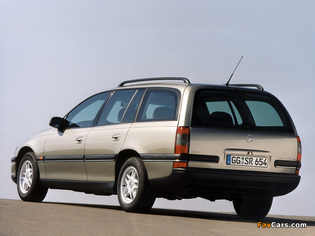 Opel Omega Caravan (B) 1994–99 photos (640 x 480)