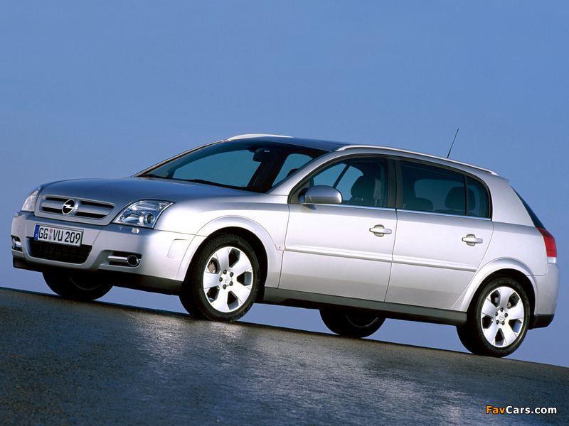 Images of Opel Signum 2003–05 (800 x 600)