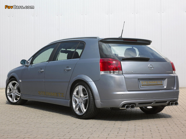 Images of Steinmetz Opel Signum 2004 (640 x 480)