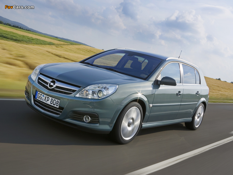 Images of Opel Signum 2006–08 (800 x 600)