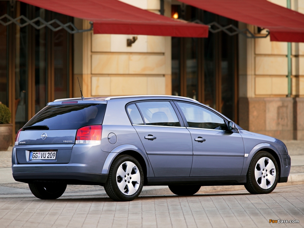 Opel Signum 2003–05 photos (1024 x 768)