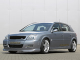 Steinmetz Opel Signum 2004 pictures